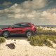 Illustration for article titled The 2019 Toyota RAV4 Gets Tough